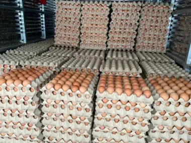 Trứng Gà 20kg/ Cây; 60gr - 62gr/ Trứng