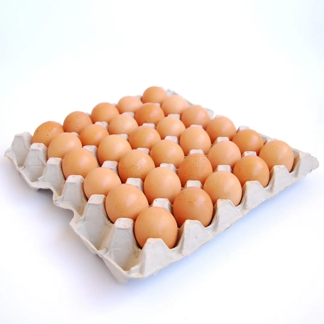 Trứng Gà 17kg/ Cây; 49gr - 51gr/ Trứng